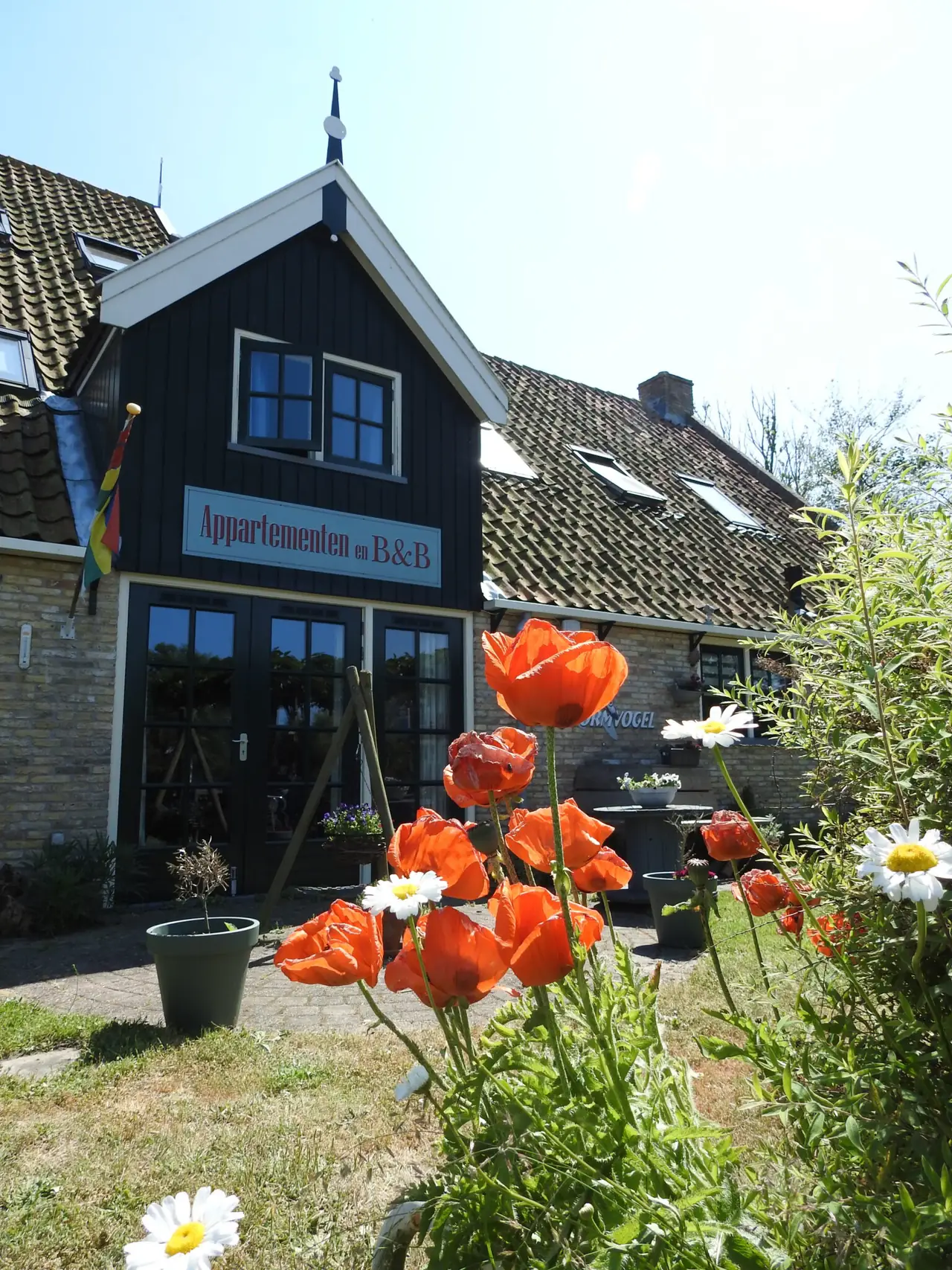 De Stormvogel - Bed and Breakfast Baaiduinen