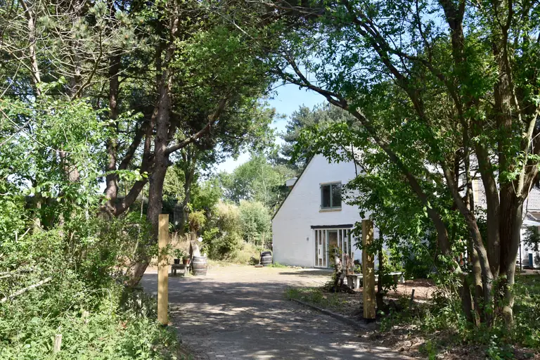 Kloos98 - Bed and Breakfast Burgh-Haamstede
