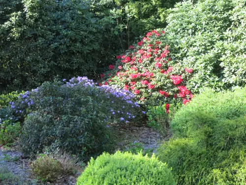 Nap 9 - Bed and Breakfast Oldebroek