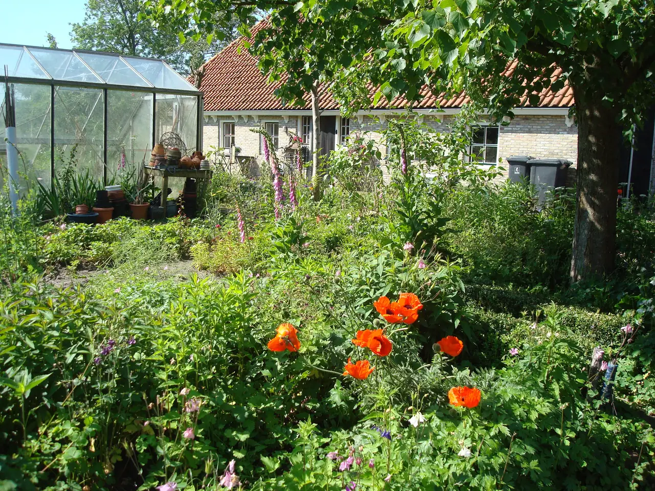 Op it hiem - Ferienwohnung Lippenhuizen