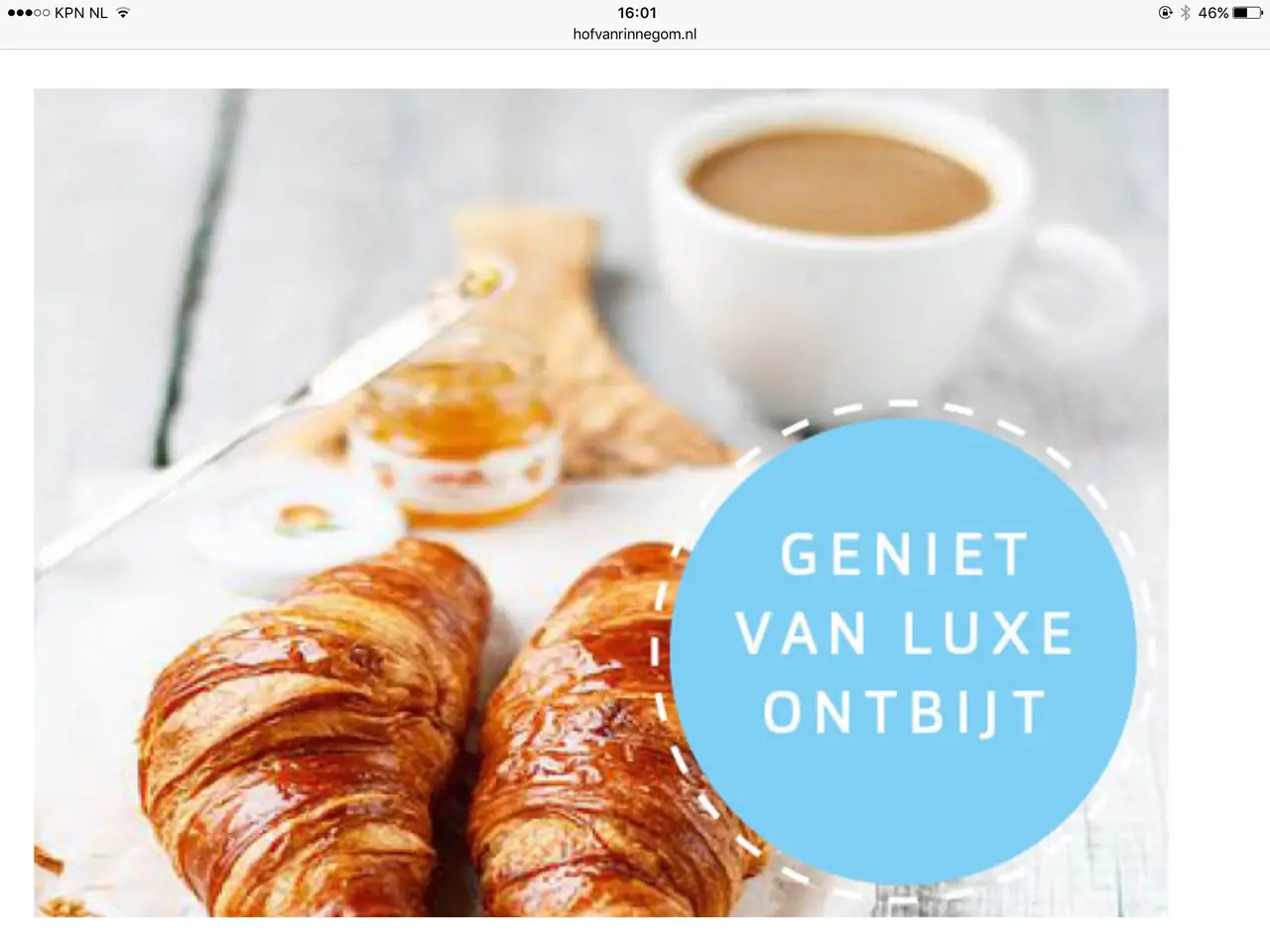 B&B Hof van Rinnegom - Bed and Breakfast Egmond aan den Hoef