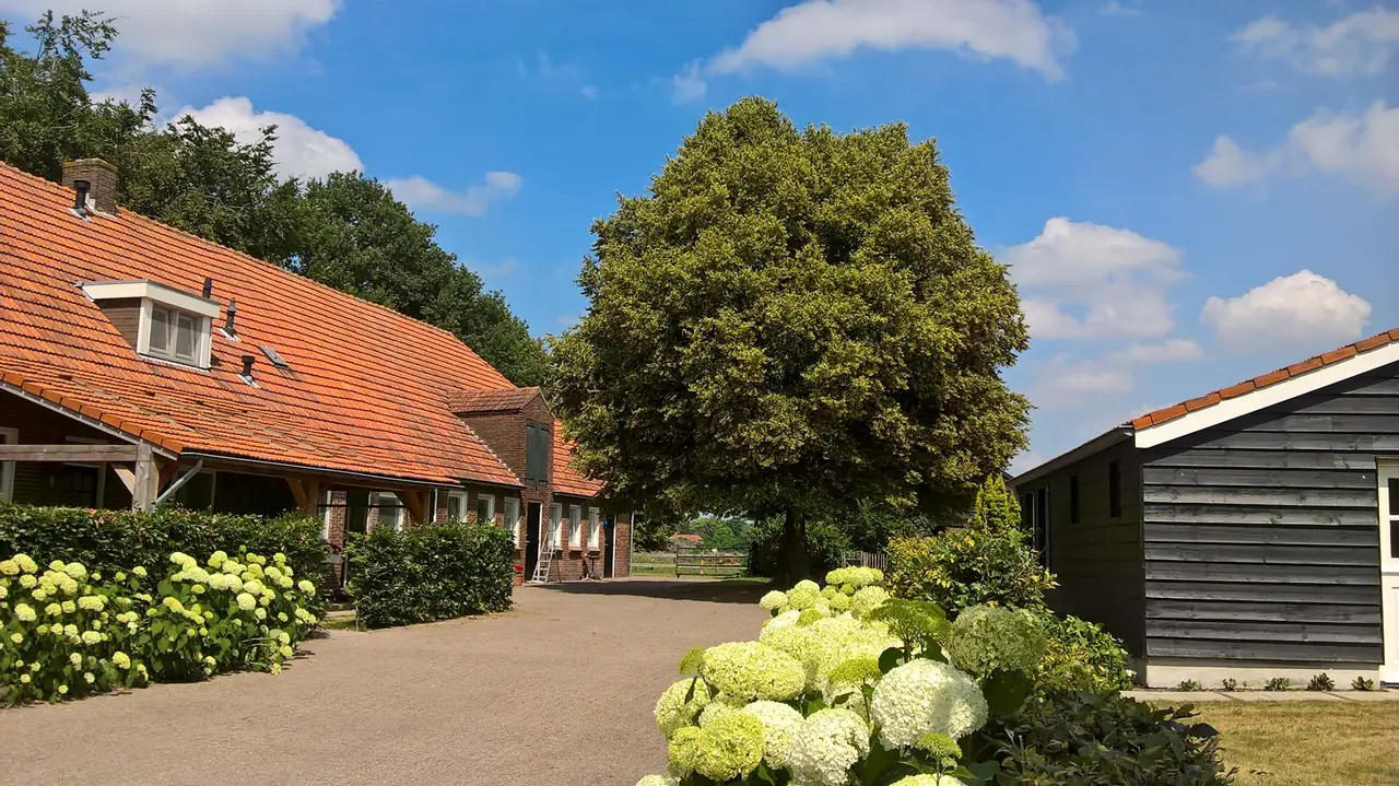 B&B Boeren Burgers Buitenlui - B&B Molenschot