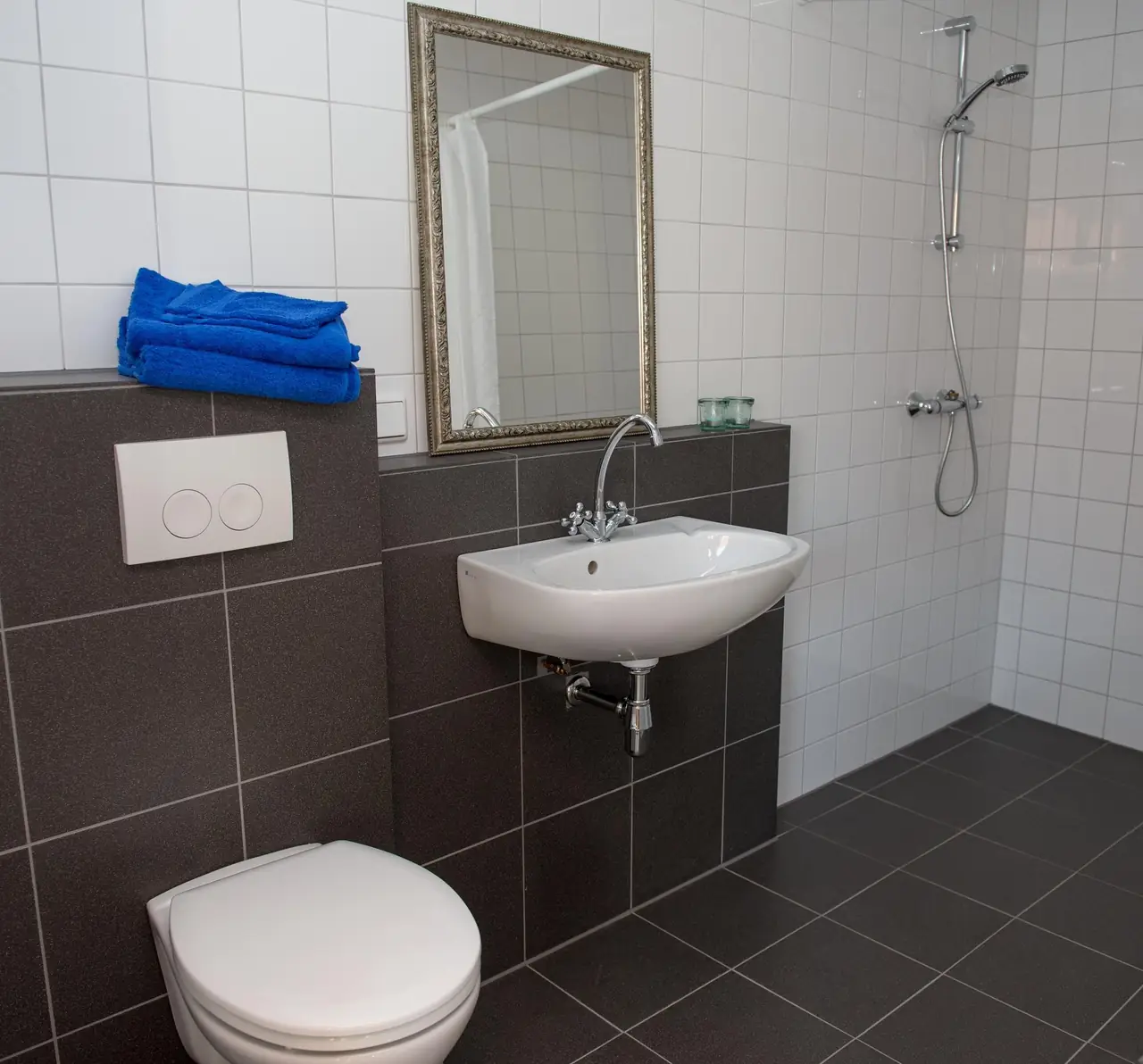 B&B Boeren Burgers Buitenlui - Bed and Breakfast Molenschot