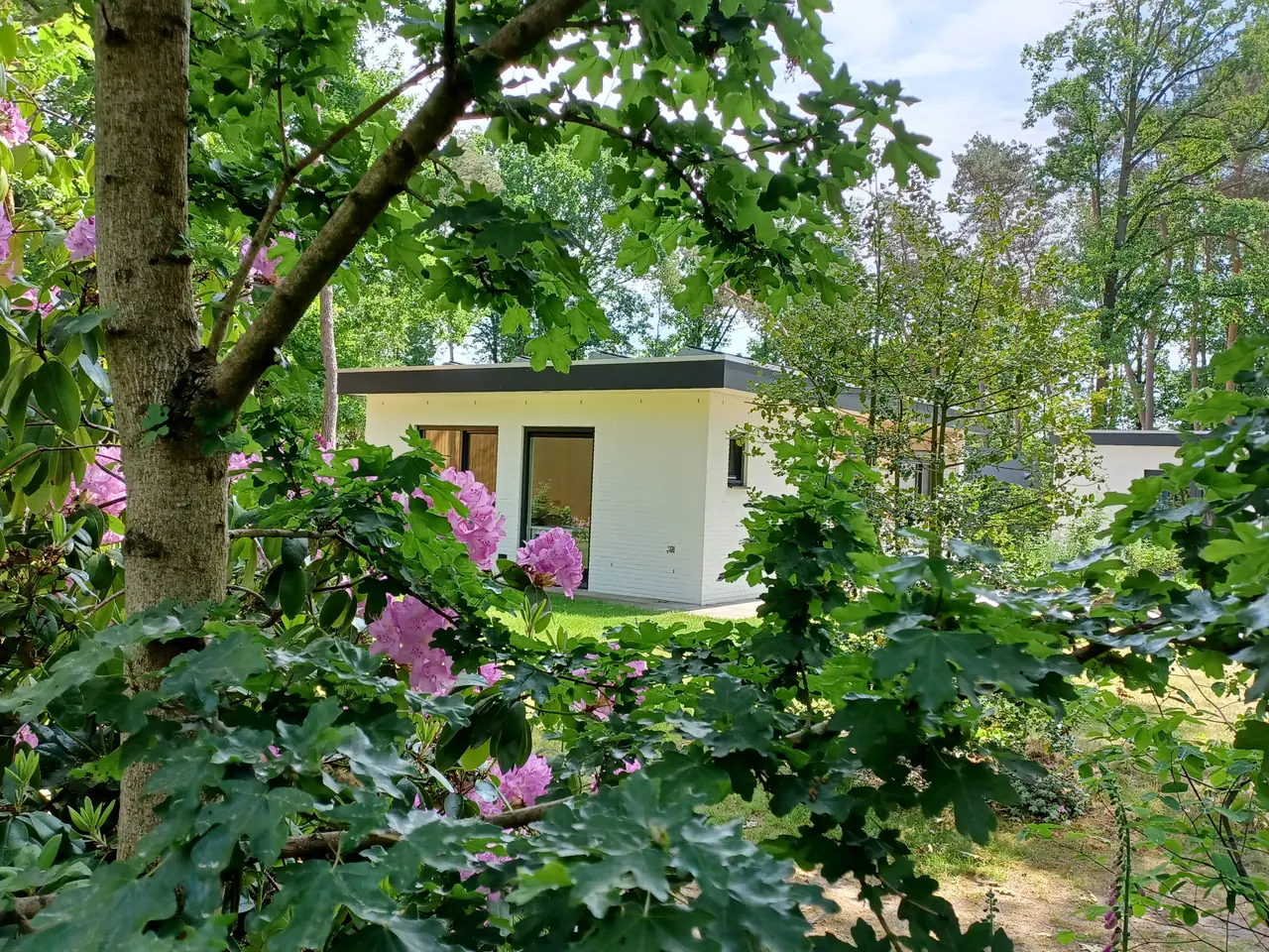 de Flierefluiter - Bed and Breakfast Bergeijk