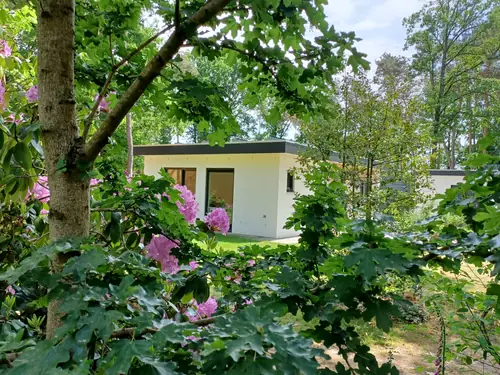 de Flierefluiter - Bed and Breakfast Bergeijk