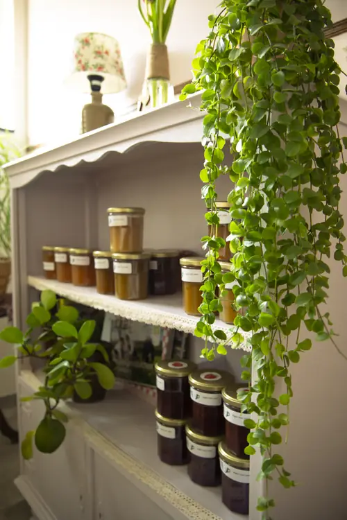 Bed & Breakfast 't Inj - B&B Horn