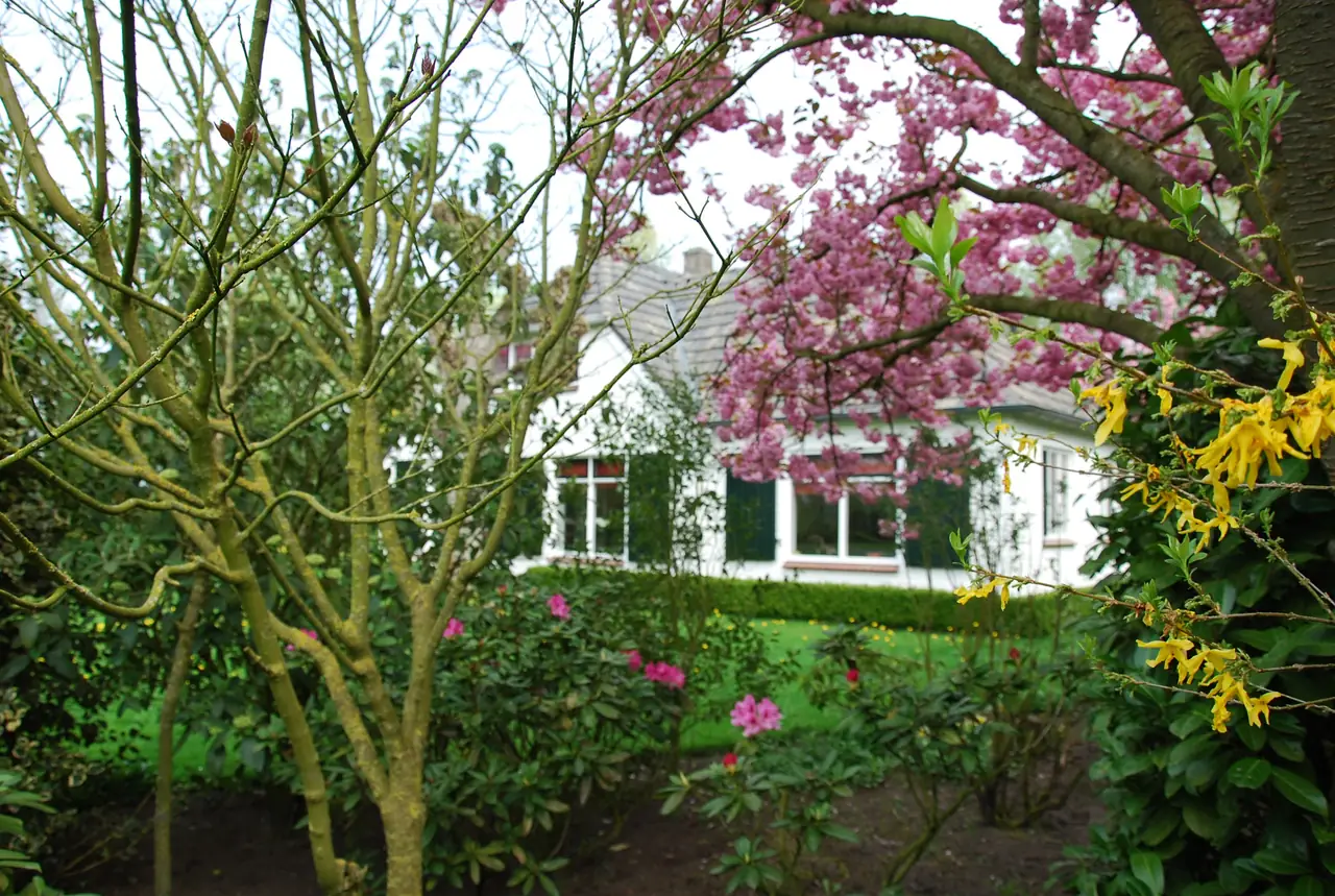 Maria's Erf - B&B Harfsen