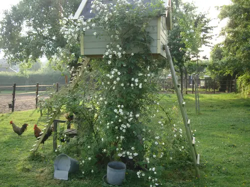 B&B De Leeghpoel - B&B Rumpt