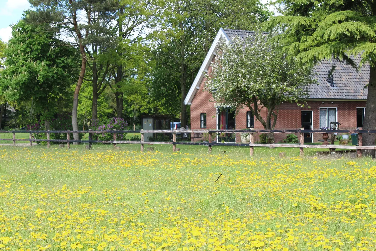 Onder de Kastanje - Bed and Breakfast Kootwijk