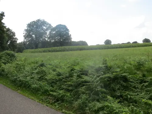 De Ruempol - Bed and Breakfast Hall