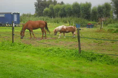 Arken Ae - B&B Zuiderwoude