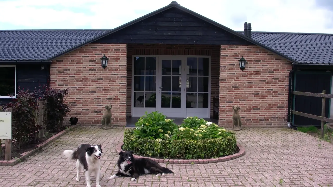 De Turfstaeker - B&B Ospel