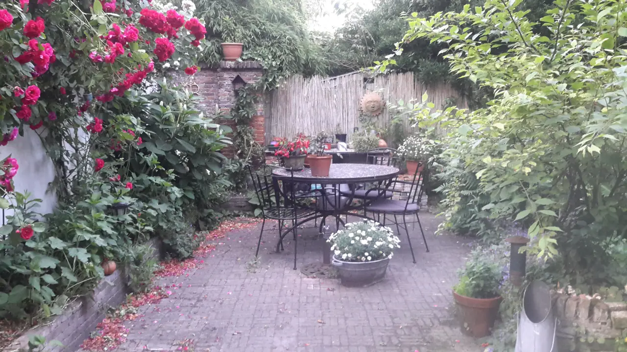 Het kleine Binnenhof - B&B The Hague