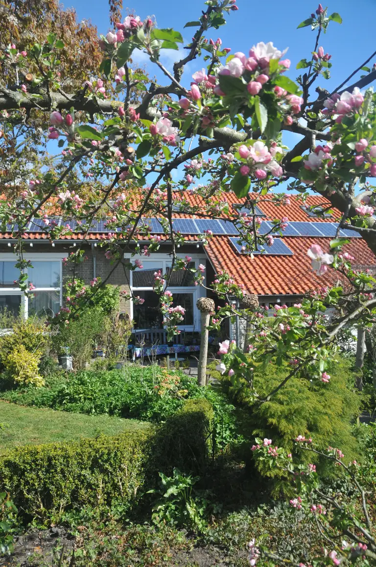 Uitwijk - Ferienwohnung Koudekerke