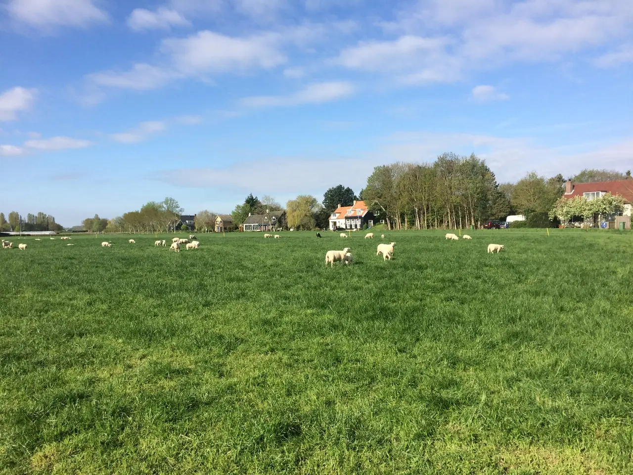 B&B Aan de Dorpsweg - Ferienwohnung Ouddorp