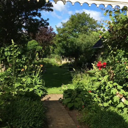 Bed & Breakfast 'Het Huis' - Bed and Breakfast Oranjewoud