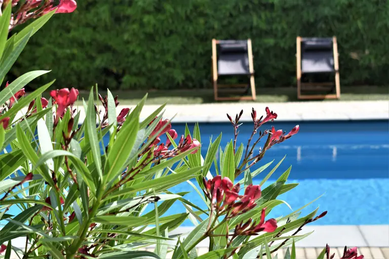 De Oude Limonadefabriek - Bed and Breakfast Beek