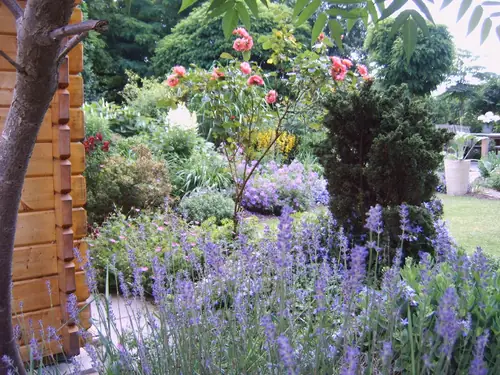 La Perchade - B&B Huissen