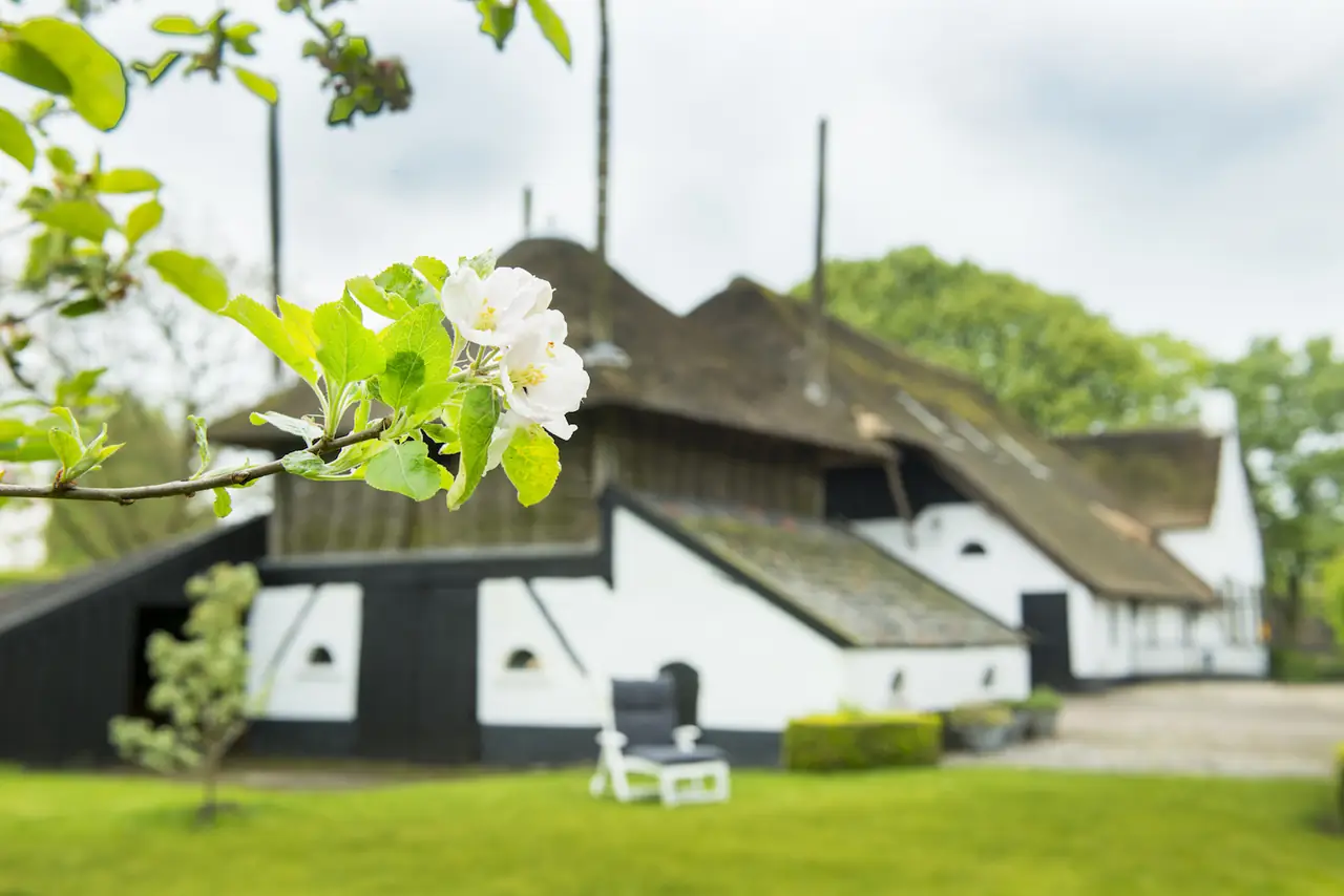 De Heeren van Tuil - Bed and Breakfast Tuil
