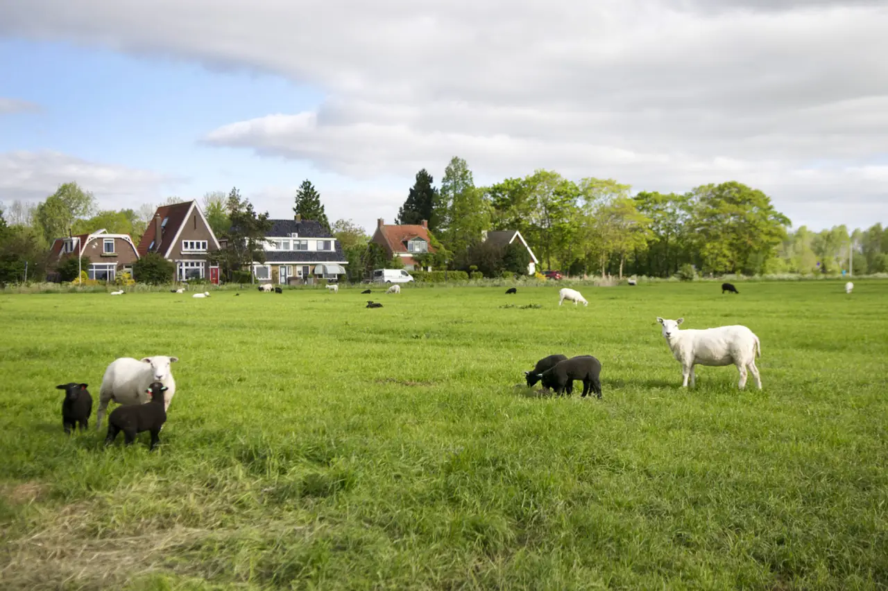 Sinneljocht - B&B Snakkerburen