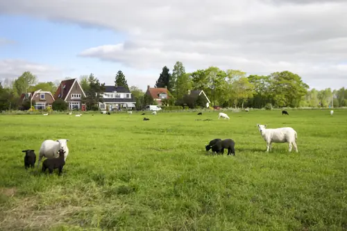 Sinneljocht - B&B Snakkerburen