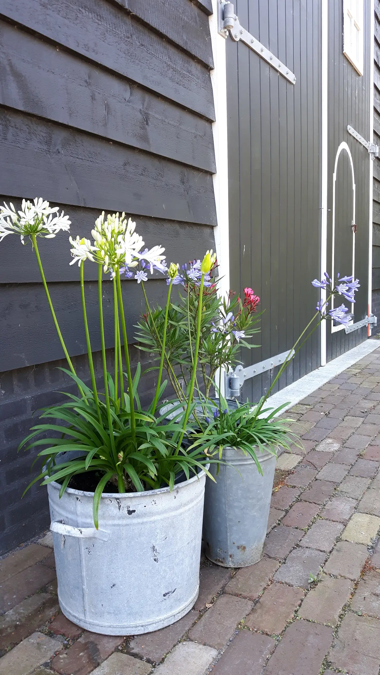 De Tuinhof - B&B Flushing