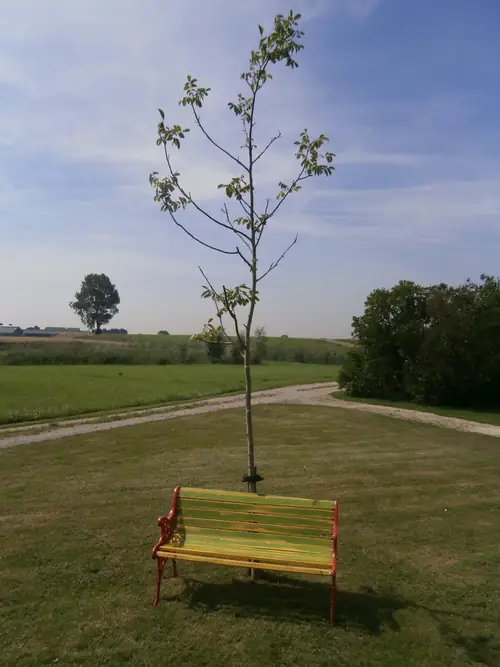 Natuurboerderij Ondersteboven - Ferienwohnung Ossenisse