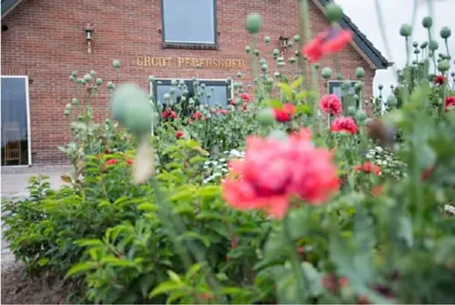 B&B Groot Pepersgoed - B&B Hoevelaken