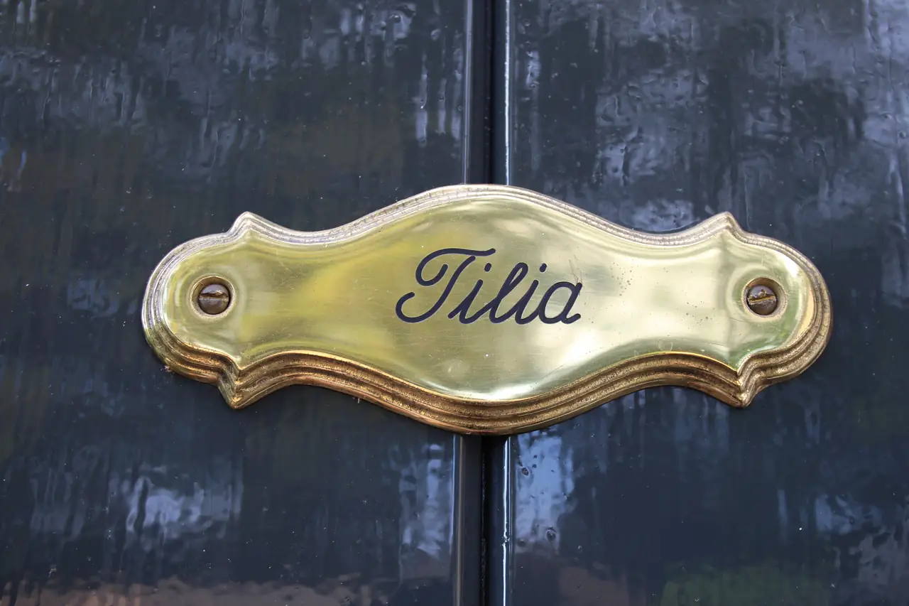 De Lindehoek - B&B Zelhem