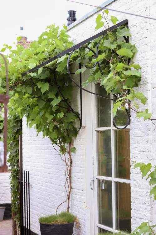 Maasvallei B&B - B&B Grevenbicht