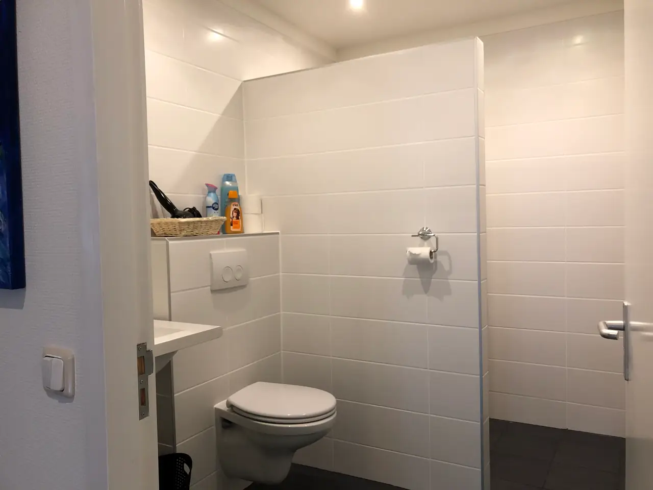 De Mollestee - Bed and Breakfast Giethoorn