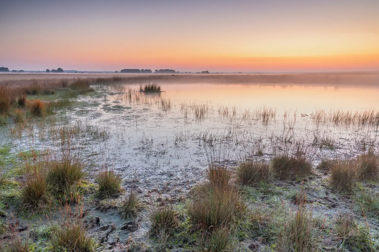 Bed & Brood bij de Berg - B&B Drijber