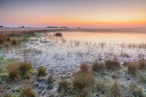 Bed & Brood bij de Berg - B&B Drijber