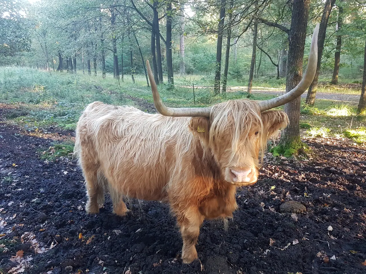 Eémpies Oetrusten - B&B Wezup