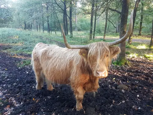 Eémpies Oetrusten - B&B Wezup