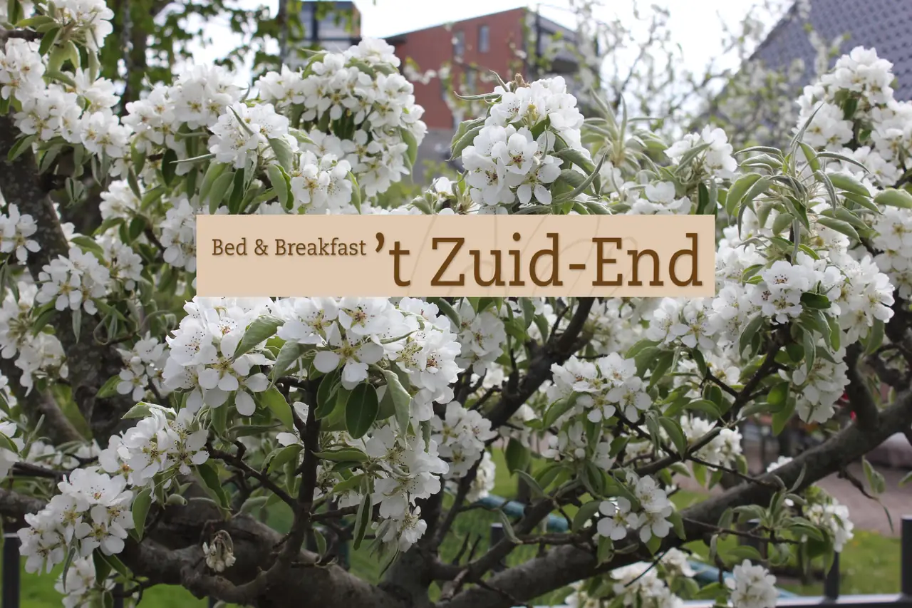 't Zuid-End - Ferienwohnung Heerhugowaard