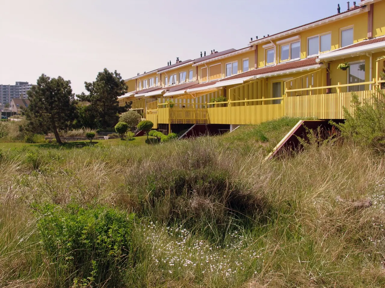 Bed and Beach Studio De Zonnevallei - Bed and Breakfast Egmond aan Zee