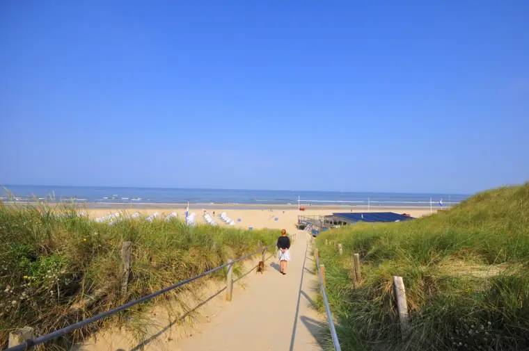 Pension Canberra - B&B Bergen aan Zee