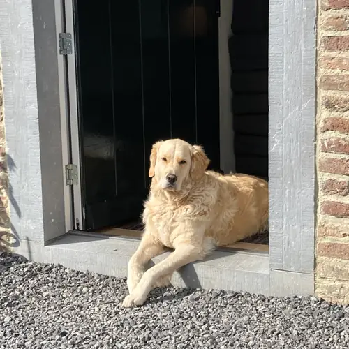 Hoeve de Hoge Swaen - Maastricht - B&B Maastricht