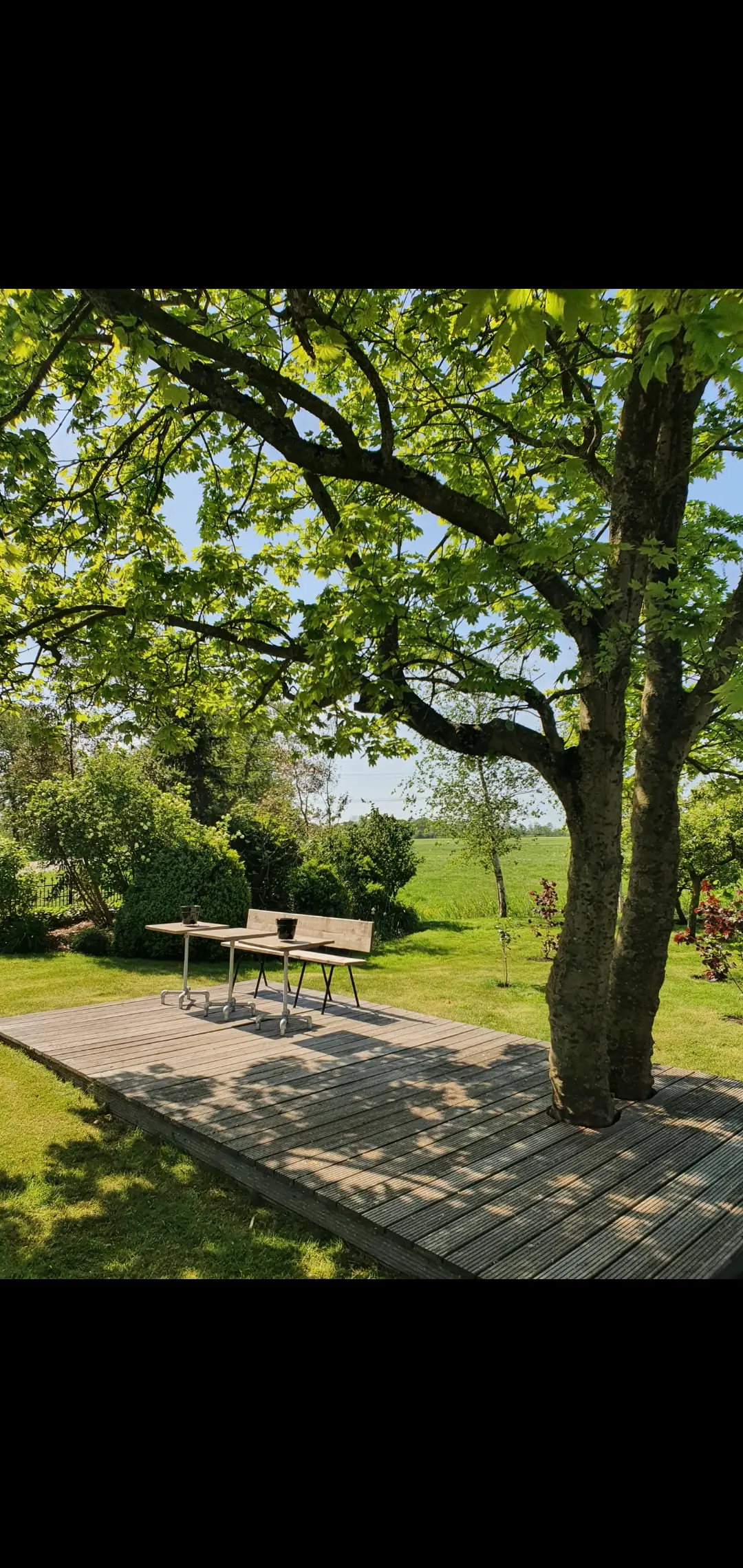 Hippe Schuur - B&B Tytsjerk