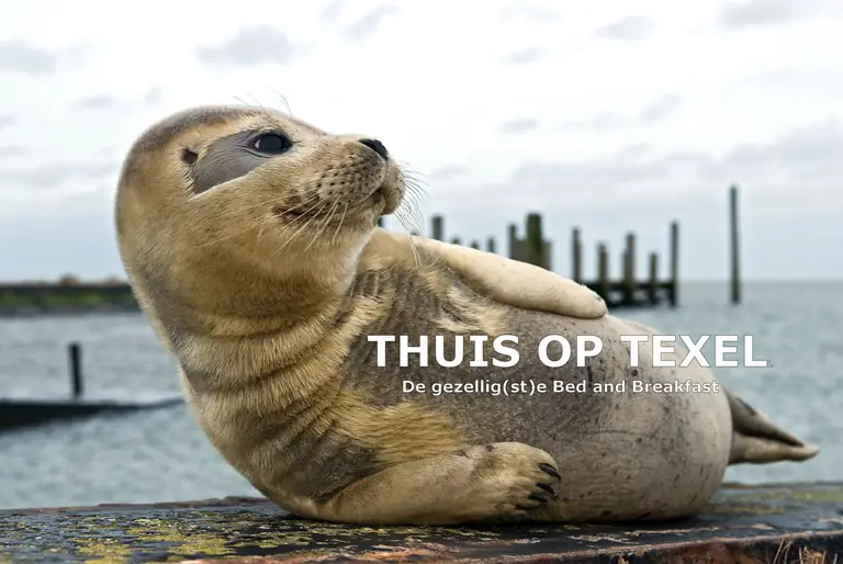 Thuis op Texel - Bed and Breakfast Den Burg