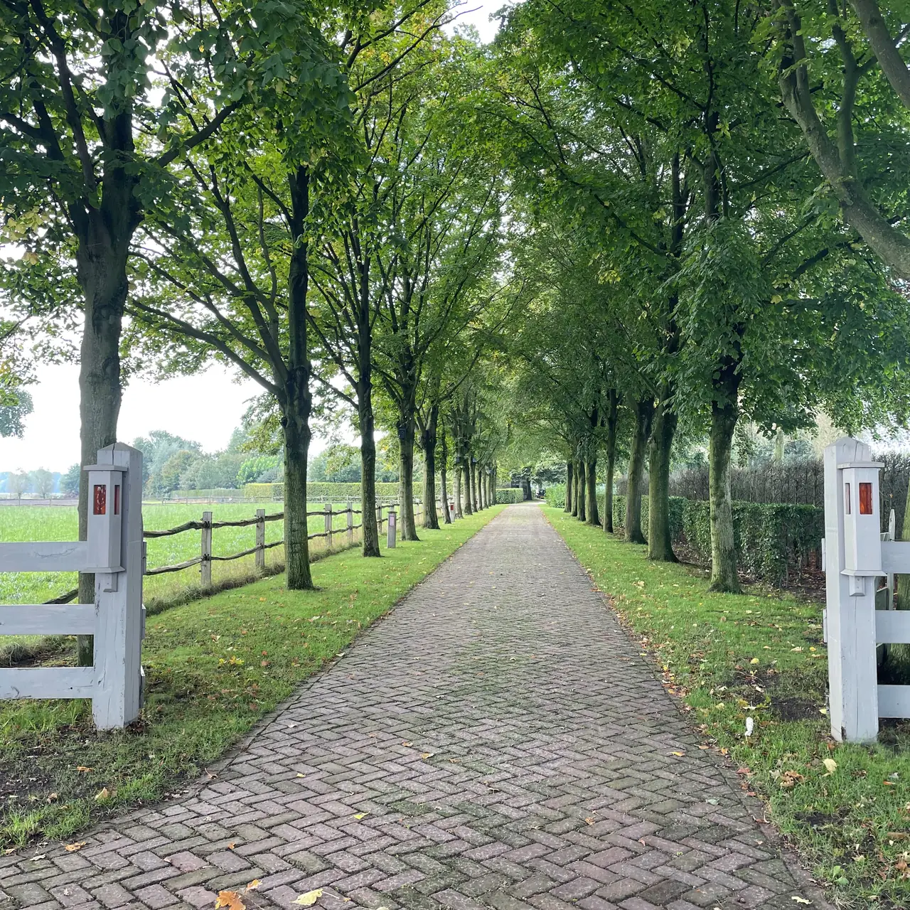 Op de Misse - Bed and Breakfast Sint Anthonis