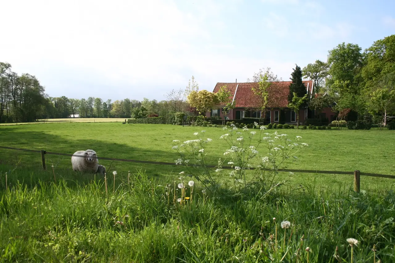 De Borg Bed & Breakfast - B&B Winterswijk