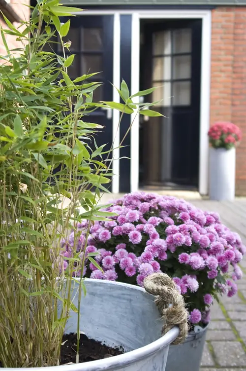 Odemarus - B&B Ootmarsum