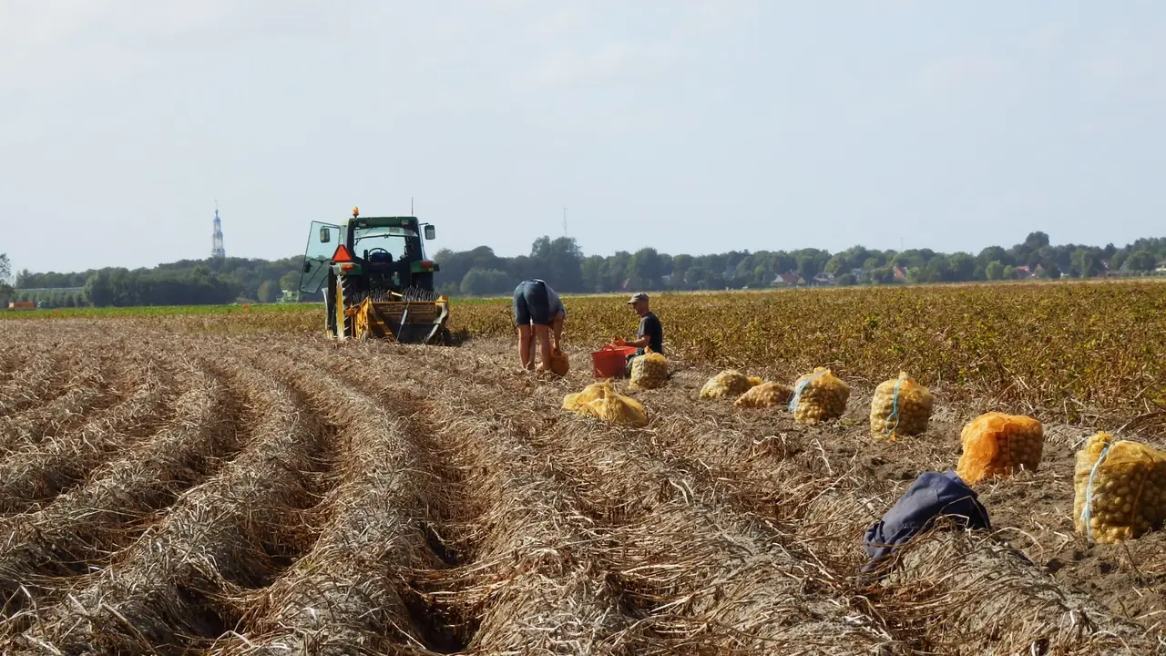 Bed & Breakfast Lamkumaheerd - Bed and Breakfast Uithuizermeeden