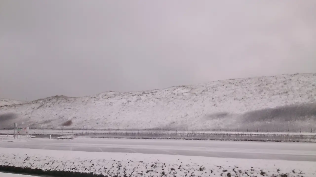 de Vloedlijn - B&B Callantsoog