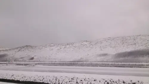 de Vloedlijn - B&B Callantsoog