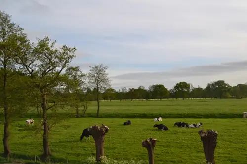 Reitsmahoeve - B&B Doezum