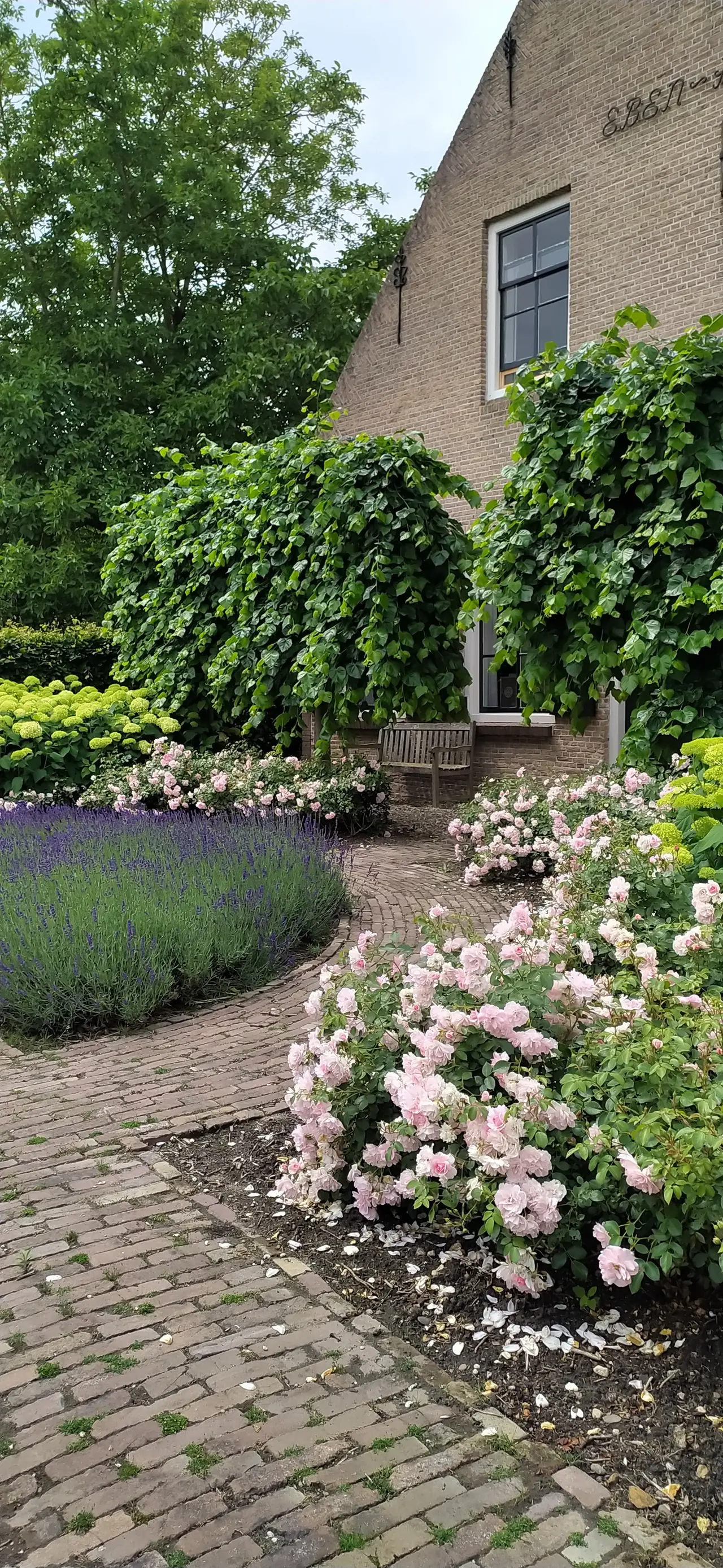 In het huis van Marrigje - B&B Ridderkerk