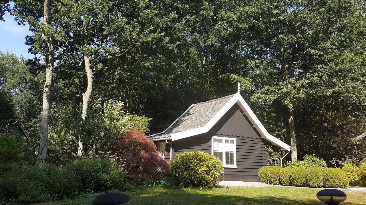 Huisje in het bos - Bed and Breakfast Schoorl